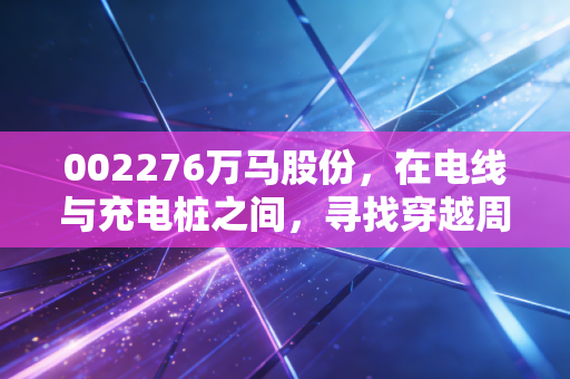 002276万马股份，在电线与充电桩之间，寻找穿越周期的稳健答案
