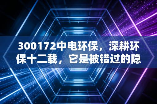 300172中电环保，深耕环保十二载，它是被错过的隐形冠军还是难以回头的苦行僧？