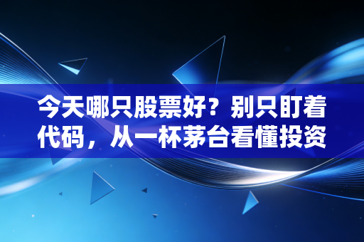 今天哪只股票好?别只盯着代码,从一杯茅台看懂投资的烟火气