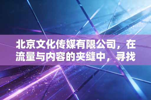 北京文化传媒有限公司，在流量与内容的夹缝中，寻找文化产业的破局之道