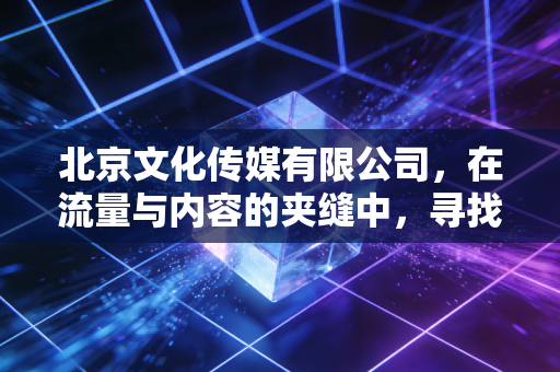 北京文化传媒有限公司，在流量与内容的夹缝中，寻找文化产业的破局之道