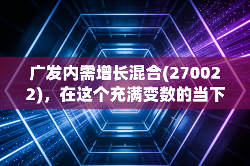 广发内需增长混合(270022)，在这个充满变数的当下，聊聊我们该如何守住内需这块压舱石