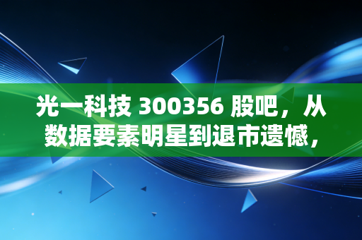 光一科技 300356 股吧，从数据要素明星到退市遗憾，散户们的爱恨情仇录