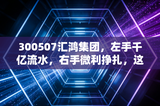 300507汇鸿集团，左手千亿流水，右手微利挣扎，这只江苏国企能否讲出新的资本故事？