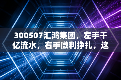 300507汇鸿集团，左手千亿流水，右手微利挣扎，这只江苏国企能否讲出新的资本故事？