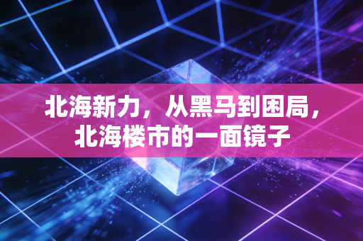 北海新力，从黑马到困局，北海楼市的一面镜子