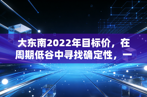 大东南2022年目标价，在周期低谷中寻找确定性，一场关于估值与信仰的博弈