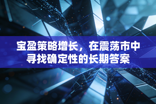 宝盈策略增长，在震荡市中寻找确定性的长期答案