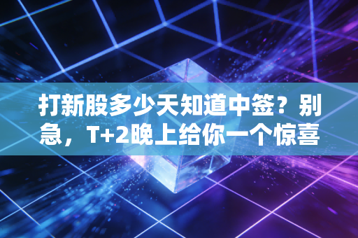 打新股多少天知道中签？别急，T+2晚上给你一个惊喜（或惊吓）