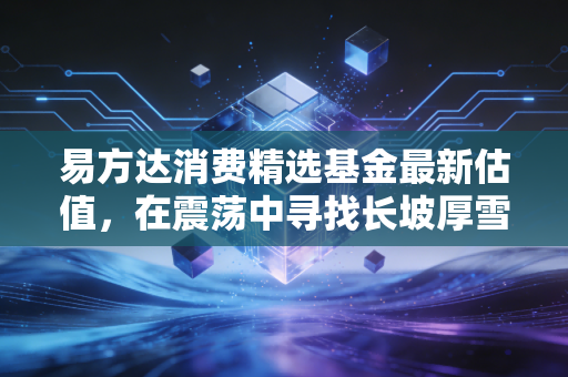 易方达消费精选基金最新估值,在震荡中寻找长坡厚雪的确定性