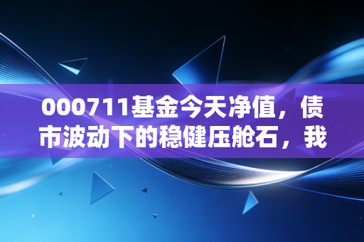 000711基金今天净值，债市波动下的稳健压舱石，我们该如何守住钱袋子？