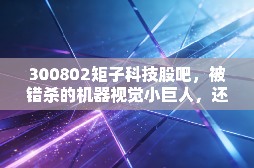 300802矩子科技股吧，被错杀的机器视觉小巨人，还是散户博弈的修罗场？
