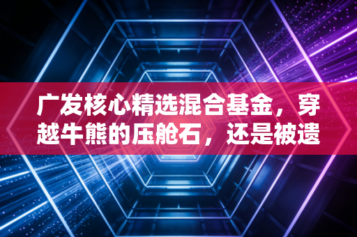 广发核心精选混合基金，穿越牛熊的压舱石，还是被遗忘的老将？