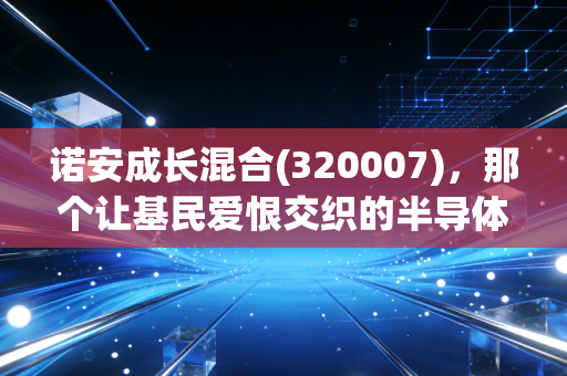 诺安成长混合(320007)，那个让基民爱恨交织的半导体赌场，我们该何去何从？