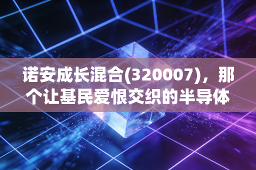 诺安成长混合(320007)，那个让基民爱恨交织的半导体赌场，我们该何去何从？