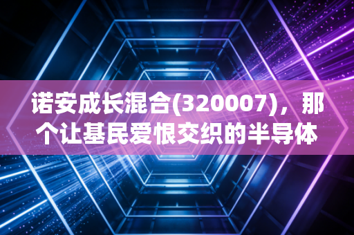 诺安成长混合(320007)，那个让基民爱恨交织的半导体赌场，我们该何去何从？