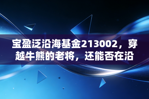 宝盈泛沿海基金213002，穿越牛熊的老将，还能否在沿海经济浪潮中乘风破浪？