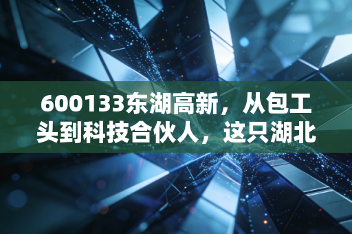 600133东湖高新，从包工头到科技合伙人，这只湖北老牌国企的破茧之路