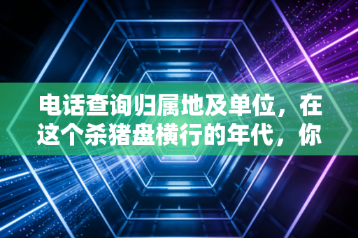 电话查询归属地及单位，在这个杀猪盘横行的年代，你的隐私还值多少钱？