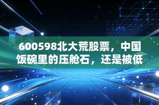 600598北大荒股票，中国饭碗里的压舱石，还是被低估的农业隐形富豪？