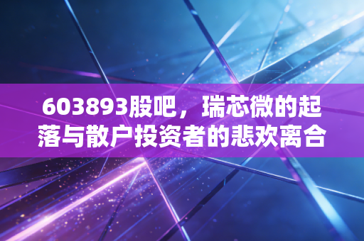 603893股吧，瑞芯微的起落与散户投资者的悲欢离合