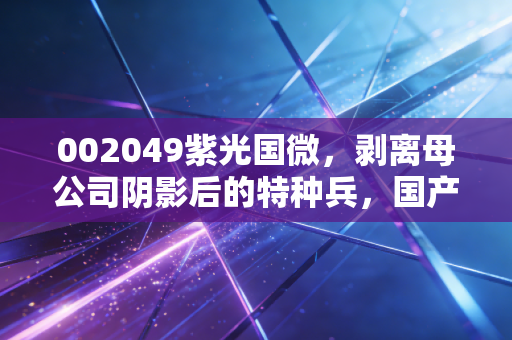 002049紫光国微，剥离母公司阴影后的特种兵，国产芯片的硬核突围战