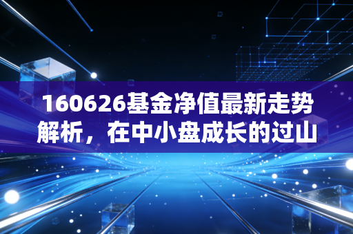 160626基金净值最新走势解析，在中小盘成长的过山车里，我们该如何安放焦虑？