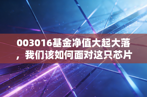 003016基金净值大起大落，我们该如何面对这只芯片神基？