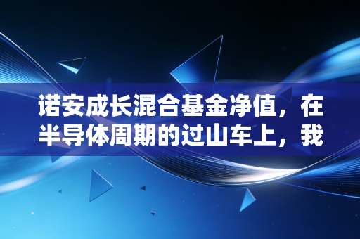 诺安成长混合基金净值，在半导体周期的过山车上，我们该如何安放躁动的钱包？