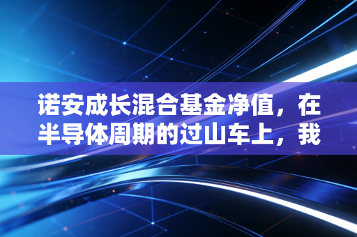 诺安成长混合基金净值，在半导体周期的过山车上，我们该如何安放躁动的钱包？