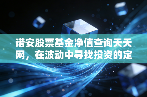 诺安股票基金净值查询天天网,在波动中寻找投资的定力与智慧