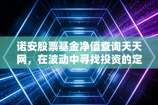 诺安股票基金净值查询天天网,在波动中寻找投资的定力与智慧
