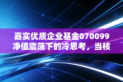 嘉实优质企业基金070099净值震荡下的冷思考，当核心资产遭遇估值重塑