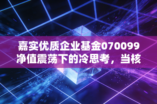 嘉实优质企业基金070099净值震荡下的冷思考,当核心资产遭遇估值重塑