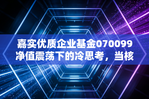 嘉实优质企业基金070099净值震荡下的冷思考，当核心资产遭遇估值重塑