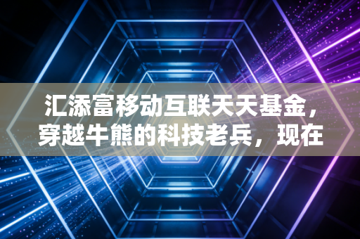 汇添富移动互联天天基金，穿越牛熊的科技老兵，现在还值得托付吗？