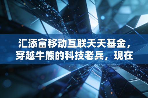 汇添富移动互联天天基金，穿越牛熊的科技老兵，现在还值得托付吗？