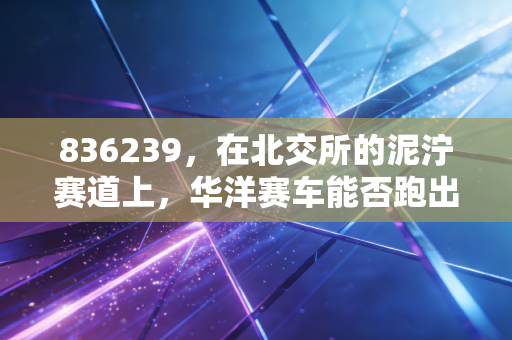836239，在北交所的泥泞赛道上，华洋赛车能否跑出加速度？