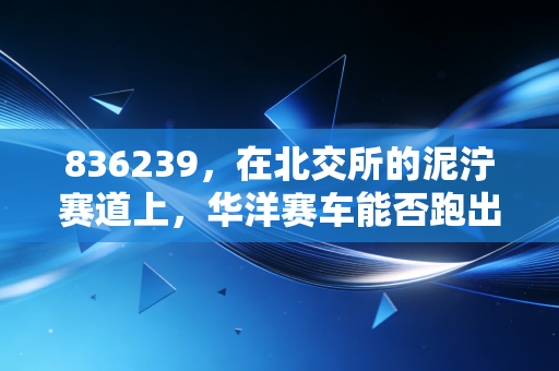 836239，在北交所的泥泞赛道上，华洋赛车能否跑出加速度？