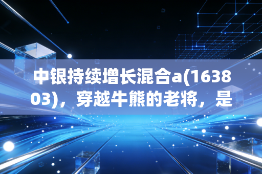 中银持续增长混合a(163803)，穿越牛熊的老将，是否还是你资产配置的压舱石？