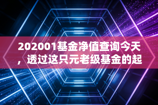 202001基金净值查询今天，透过这只元老级基金的起伏，看懂投资的长期主义