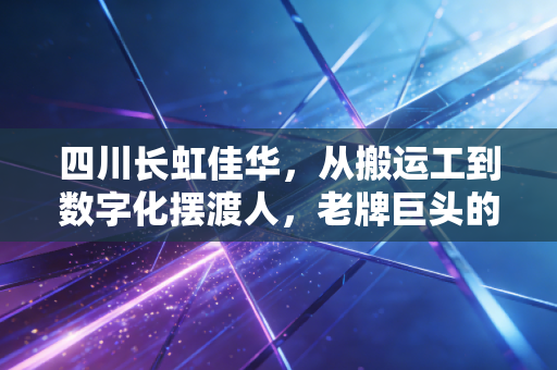 四川长虹佳华，从搬运工到数字化摆渡人，老牌巨头的隐秘突围战
