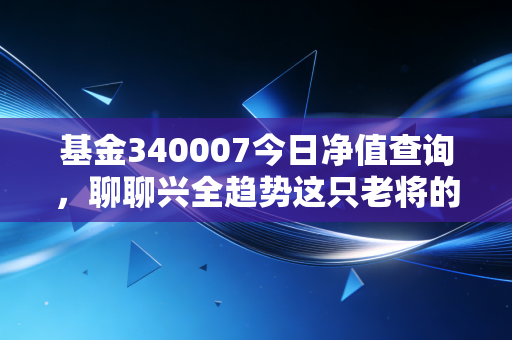 基金340007今日净值查询，聊聊兴全趋势这只老将的现状与我的投资思考