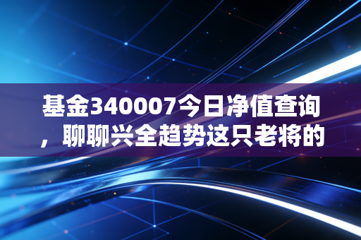 基金340007今日净值查询，聊聊兴全趋势这只老将的现状与我的投资思考