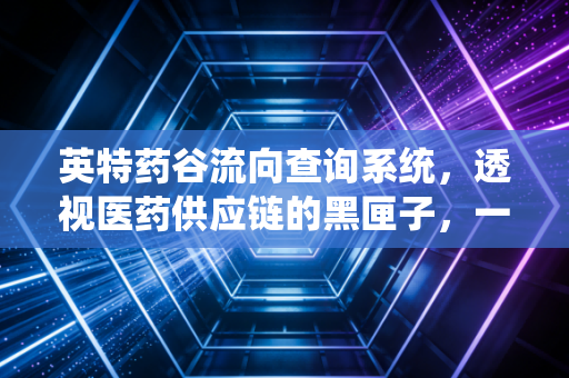 英特药谷流向查询系统，透视医药供应链的黑匣子，一场关于效率与合规的深度博弈