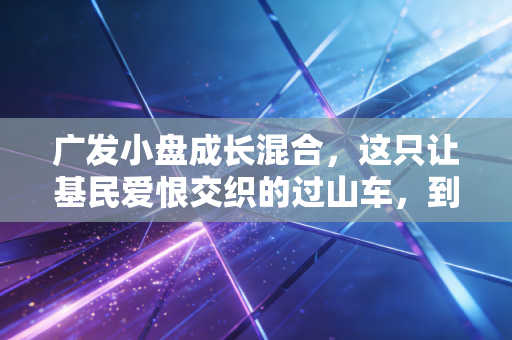 广发小盘成长混合，这只让基民爱恨交织的过山车，到底值不值得你长期持有？