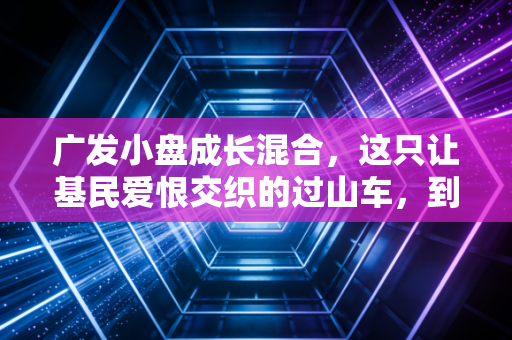 广发小盘成长混合，这只让基民爱恨交织的过山车，到底值不值得你长期持有？