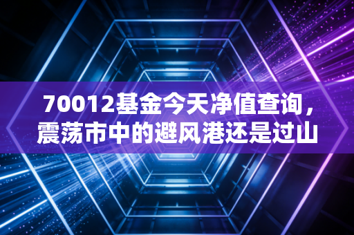 70012基金今天净值查询，震荡市中的避风港还是过山车？深度解析嘉实沪深300ETF联接A