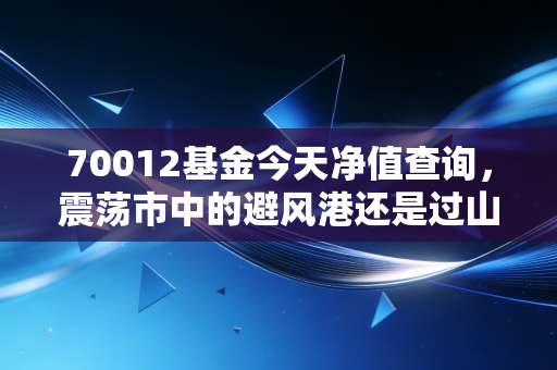 70012基金今天净值查询，震荡市中的避风港还是过山车？深度解析嘉实沪深300ETF联接A
