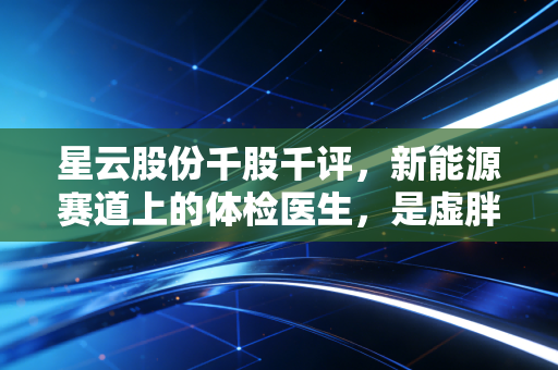 星云股份千股千评，新能源赛道上的体检医生，是虚胖还是真肌肉？